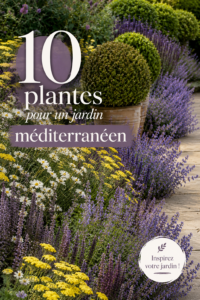 Un jardin méditerranéen coloré avec diverses plantes en fleurs