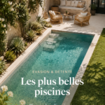 Une magnifique piscine bordée de palmiers au soleil.