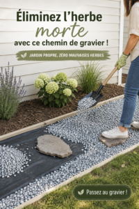 Chemin en gravier dans un jardin avec pelouse entretenue