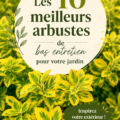 Jardin fleuri avec des arbustes faciles à entretenir