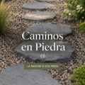 Un magnifique chemin en pierre bien intégré dans un jardin fleuri.