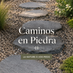 Un magnifique chemin en pierre bien intégré dans un jardin fleuri.