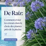 Un jardin agréable avec des plantes autour d'une piscine