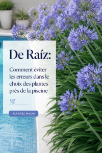 Un jardin agréable avec des plantes autour d'une piscine