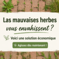 Salle de bain rénovée sans mauvaises herbes, propre et accueillante.