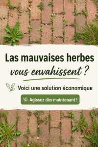 Salle de bain rénovée sans mauvaises herbes, propre et accueillante.