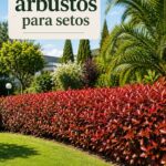 Un jardin plein d'arbustes colorés et bien entretenus