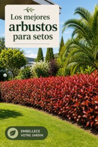 Un jardin plein d'arbustes colorés et bien entretenus