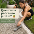 Jardin décoré avec des pierres naturelles, offrant une ambiance paisible.