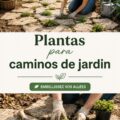 Allée de jardin décorée avec des plantes colorées et des fleurs.