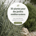 Un beau jardin méditerranéen avec diverses plantes colorées et un espace accueillant.