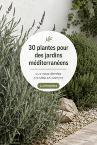 Un beau jardin méditerranéen avec diverses plantes colorées et un espace accueillant.