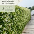 Salle de bain décorée avec des plantes vertes adaptées à l'humidité