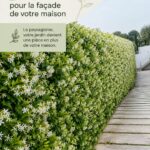 Salle de bain décorée avec des plantes vertes adaptées à l'humidité