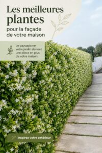 Salle de bain décorée avec des plantes vertes adaptées à l'humidité