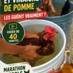 Vue d'une salle de bain avec des produits de nettoyage au vinaigre de cidre