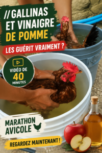 Vue d'une salle de bain avec des produits de nettoyage au vinaigre de cidre