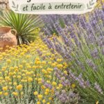 Un jardin durable et fleuri avec peu d'entretien visible.