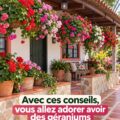 Salle de bain moderne décorée avec des plantes colorées et luxuriantes