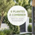 Un jardin fleuri avec plusieurs plantes colorées. Parfait pour créer une ambiance accueillante.