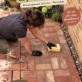 Pavés en briques fraîchement rénovés dans un jardin