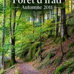 Vue panoramique des couleurs automnales à Selva de Irati