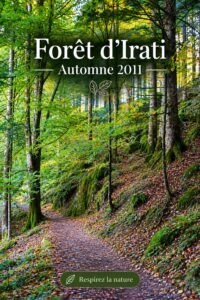 Vue panoramique des couleurs automnales à Selva de Irati