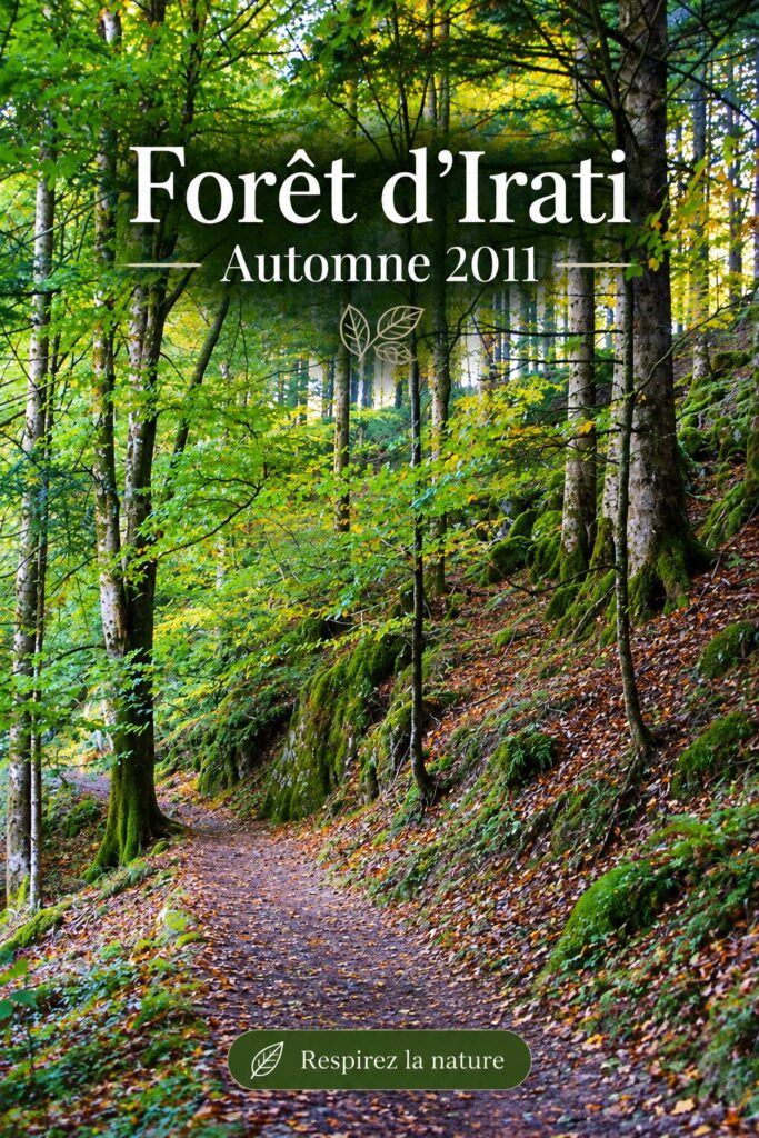 Vue panoramique des couleurs automnales à Selva de Irati